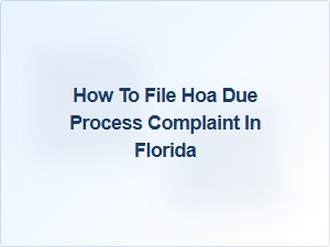 How to File Hoa Due Process Complaint in Florida
